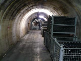 Sekt